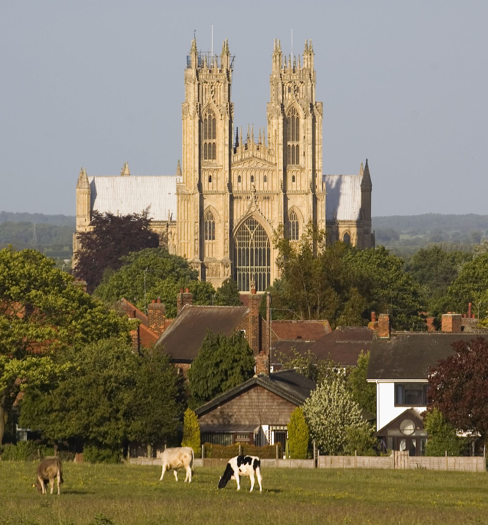 Beverley Minster seen from the Westwood pastures, with twin west towers in Tadcaster limestone visible above the common-land grazing fields where the Sandersons office on Morton Lane sits to the western edge of town